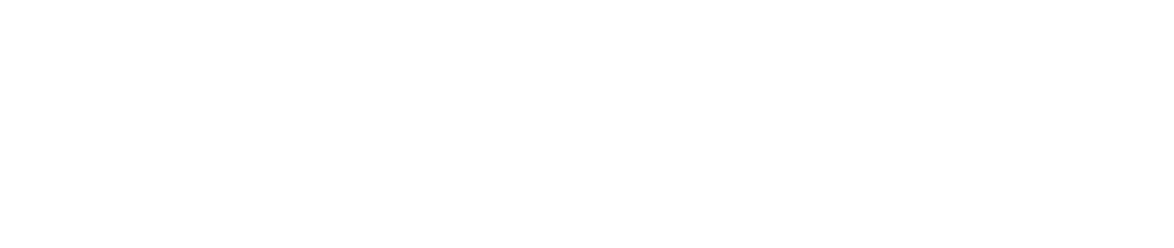 Fortuna Mobilidade Elétrica