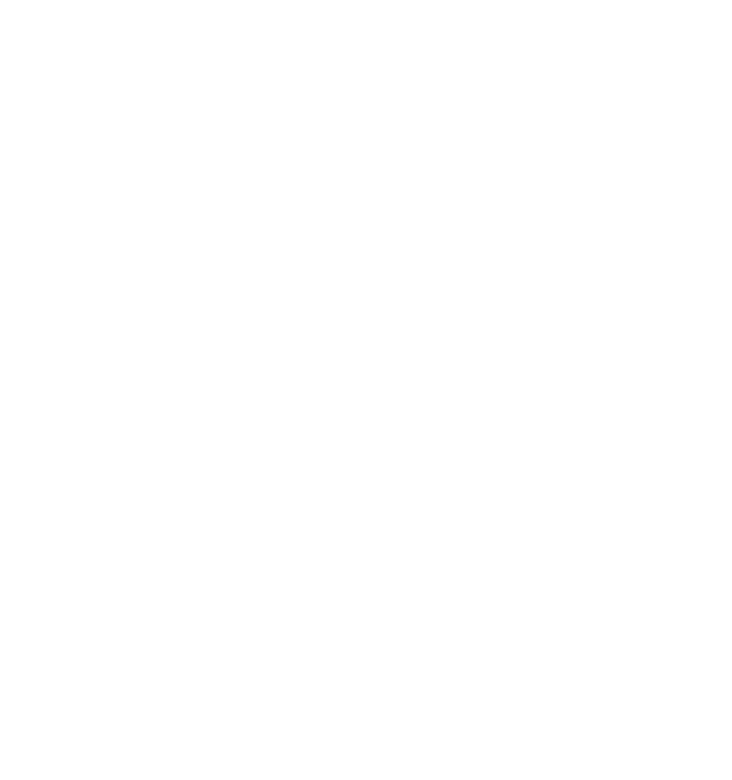 Fortuna Motos